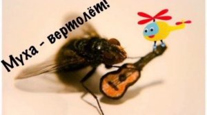 А муха тоже вертолёт