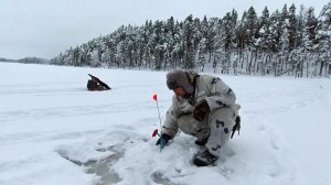 НОЧЬ В ХИЖИНЕ ОХОТНИКА. ЖИВУ В ЗИМНЕМ ЛЕСУ В ГЛУХОЙ ТАЙГЕ. ОСТАВИЛ ЖЕРЛИЦЫ НА НОЧЬ ЕДЕМ ПРОВЕРЯТЬ.