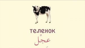 УЧИМ АРАБСКИЙ - слова из Корана (часть 3)