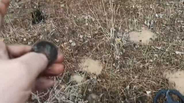 Коп как хобби.По лесу с металлодетектором!Поиск с металлоискателем Rutus Alter по старой дороге!
