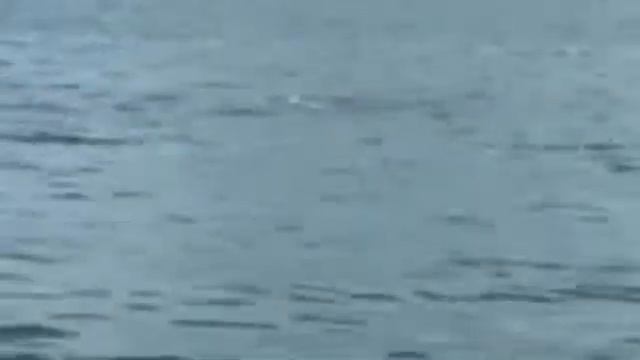 Sereia REAL!! gravada com um telescópio смотреть онлайн