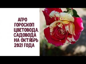 Агрогороскоп цветовода и садовода на октябрь 2021 года