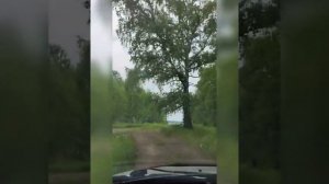 МАЛАЯ РОДИНА (поселок Шахта, Тогучинский район, Новосибирская область)