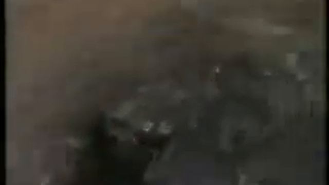 село Гаврилова Поляна смотреть онлайн