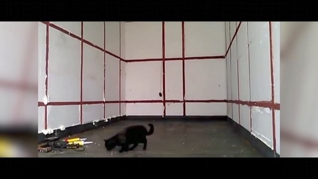 Внутренняя обшивка фургона МАЗ Зубрёнок