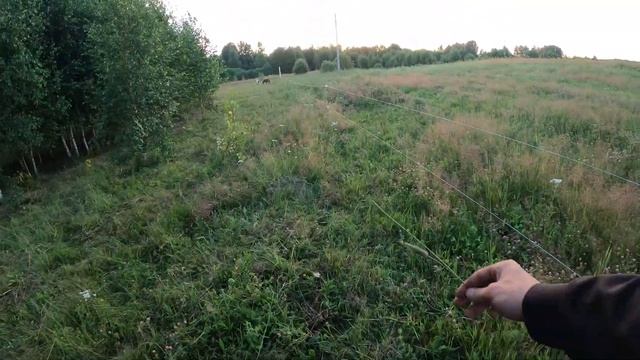 Электропастух в работе, все тонкости. смотреть онлайн