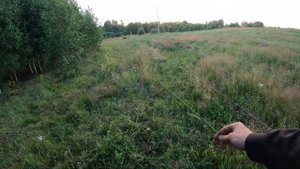 Электропастух в работе, все тонкости.