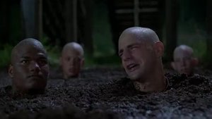 Брюссельская капуста Майор Пэйн   Major Payne