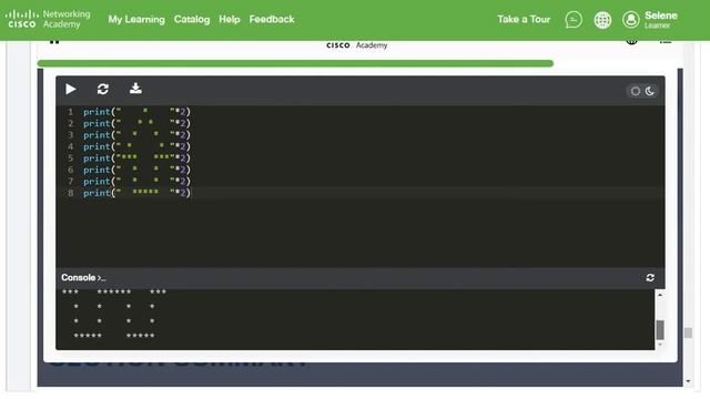 Cisco-Programming Essentials in Python-Module 2