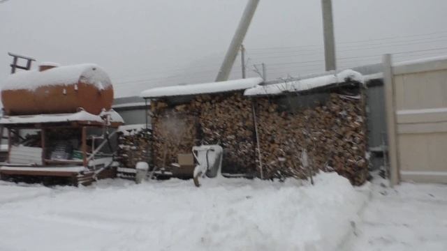 Косуля в гостях на берегу Байкала. смотреть онлайн