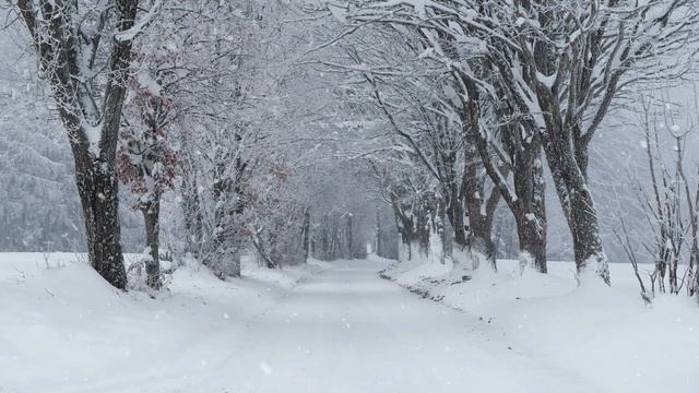 Звуки метели,шум порывистого ветра,хруст снега под ногами.Звуки зимы для сна,расслабления,отдыха