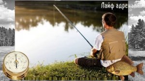 При каком давлении карась лучше клюет? Какое оптимальное давление для рыбалки на карася?