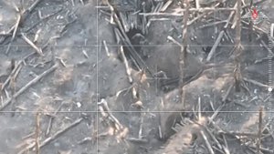 Боевая работа штурмовых групп ВДВ в зоне СВО