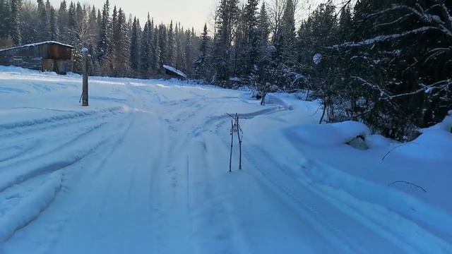 Пошел за валежником, а нашел избушки в тайге смотреть онлайн