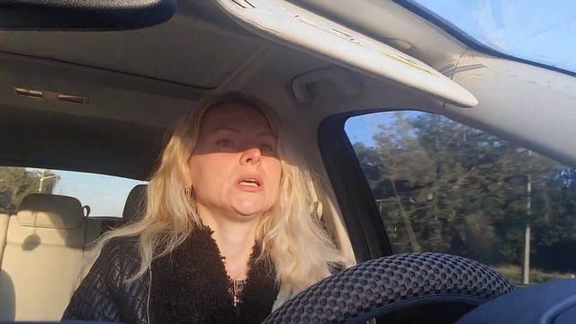 США💥Аномальные холода во Флориде🥶❄️ смотреть онлайн