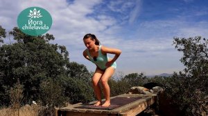 ЙОГА упражнения ДЛЯ НОГ - Йога chilelavida