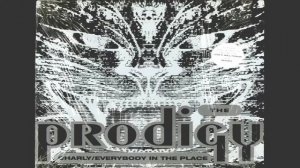 ПРОДИДЖИ Ч.1