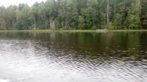 Выход на глиссер на лодке Kolibri KM300D и моторе Parsun Golfstream 9.8