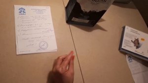 Как вылечить дерматит у кошек