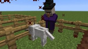 как приручить собаку