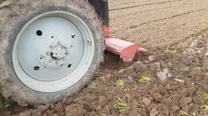 МТЗ вспашка плугом и фрезой