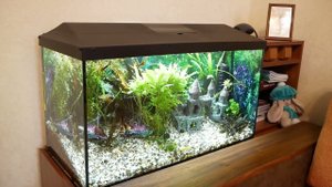 Аквариум Aquael с тумбой