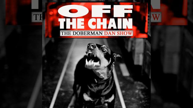 Doberman Dan | Quit Wishterbating with Jared Emin part 2 смотреть онлайн