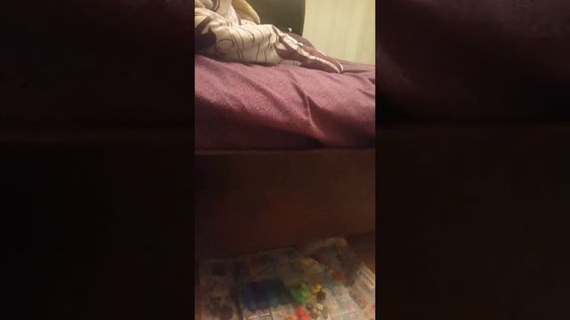 Как сделать из пластилина дракона смотреть онлайн