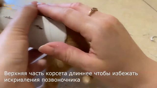 Как Лечить Плоскогрудие у Котят? смотреть онлайн