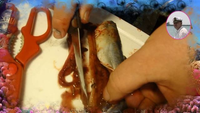 Рыба соленая Сайра, скумбрия эта рыба соленая  дома  вкусна. Petr de Cril'on