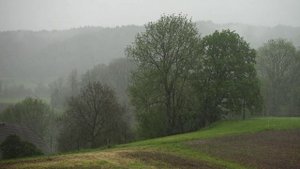 Да какая же жизнь без друзей.