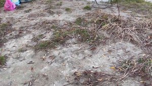 РЫБАЛКА, ЛОВЛЯ КАРАСЯ НА "ЛОЖКУ"!