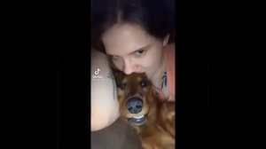 Попробуй не засмеяться челлендж #9 с животными