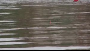 Рыбалка с Нормундом Грабовскисом-Ловля плотвы в проводку.Часть 2