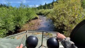 МТЛБ vs большие бобровые плотины! Таёжный off-road! Бобры не ожидали что мы доберемся до их плотин!