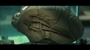 Трейлер Пиранья 3D (Piranha 3D)