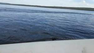 Баджер 390 и сузуки 6 . Солар 420 и тоха 9.8