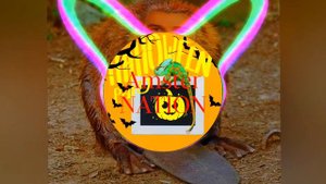 бебра я тебя люблю (Bass Boost) remix