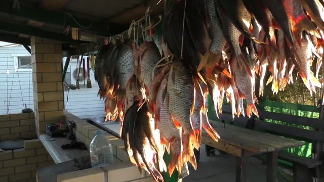 Ловля Красноперки в Астраханской области. Советы, оснастка, наживка. смотреть онлайн