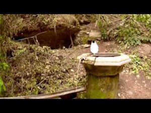 Каменная чаша  10 08 2018