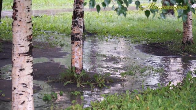 "МИМОХОДОМ", 18 августа 2019 год. Автор проекта О. Дзиов смотреть онлайн