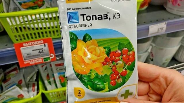 Как побороть Паршу на яблоне и груше. Рассказываю, чем обработать деревья весной смотреть онлайн