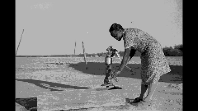 Chasing Shadows смотреть онлайн