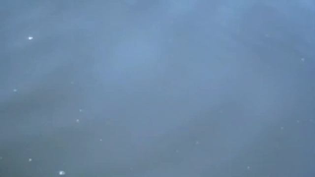 Змееголов. Атака на поппер.#змееголов
