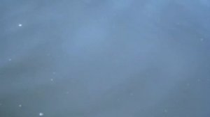 Змееголов. Атака на поппер.#змееголов