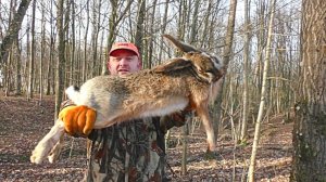 Охота на ЗАЙЦА. 13 января 2018г.