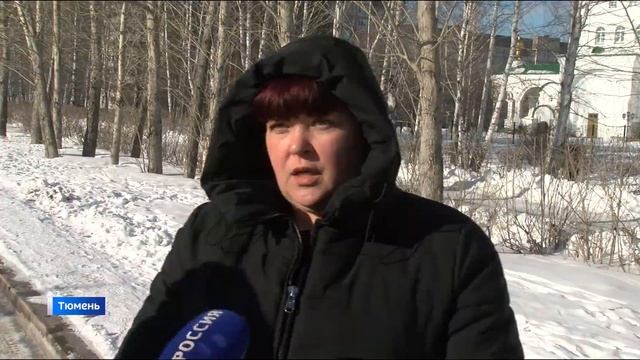 Сезонная формовочная обрезка деревьев в Тюмени завершится через месяц