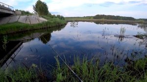 Ловля ЩУКИ на ПОВЕРХНОСТНЫЕ ПРИМАНКИ. Нашёл КЛЮЧ К УСПЕХУ. СЕРЕБРИСТЫЙ БОЧОНОК ЛУПИТ ЩУК В БОЛОТЕ.