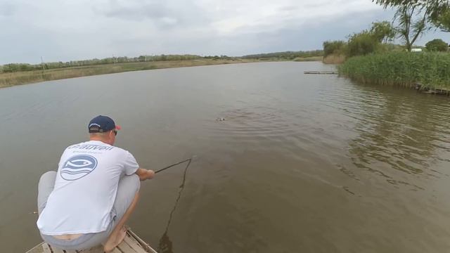 Ловля толстолоба на технопланктон. Манучкина балка. смотреть онлайн