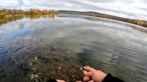 Ловля ельца спиннингом в октябре. Мормышинг